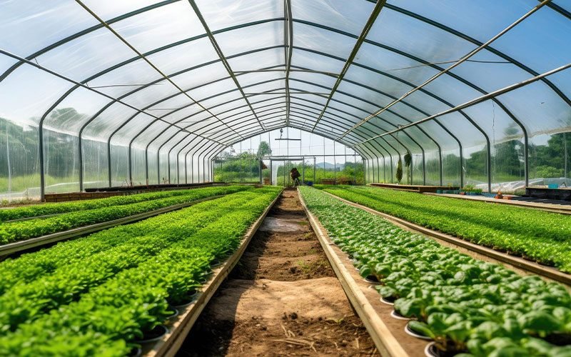 Polycarbonate-Sheet